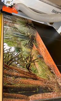 Madagascar- Spiny Forest | Reptile Enclosure Backgrounds