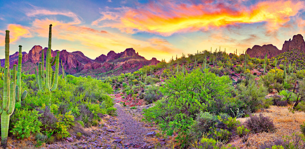Toad Ranch Reptile Enclosure Destinations Background featuring Arizona Sunset