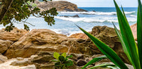 Trindade Rio De Janeiro- Rocky Beach | Reptile Enclosure Backgrounds