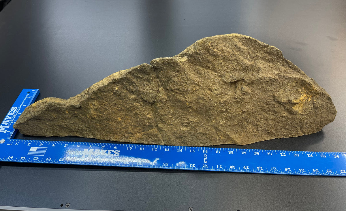 DIY Ledge-008-Universal Rocks