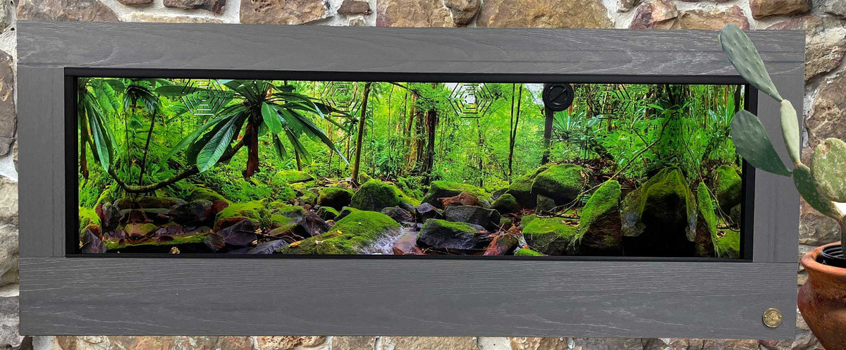 Large five-foot reptile enclosure featuring wrap around Mossy Rock Destinations Cage Background