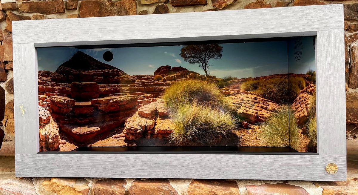Australia- Kings Canyon | Reptile Enclosure Backgrounds