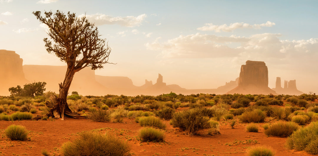 Colorado-Monument Valley | Reptile Enclosure Backgrounds