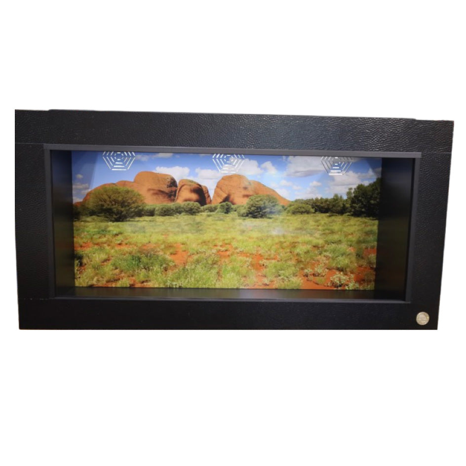 Toad Ranch Black Dragon reptile cage featuring Australian Desert-Olgas Destinations reptile enclosure background.