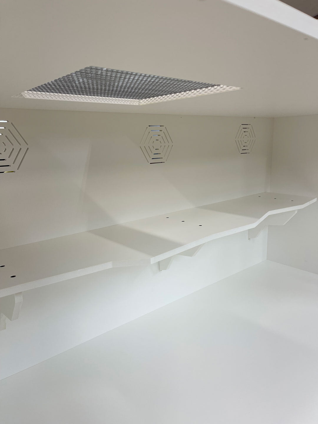 Cliff Hanger | Reptile Enclosure Climbing Shelf