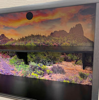 Cliff Hanger | Reptile Enclosure Climbing Shelf