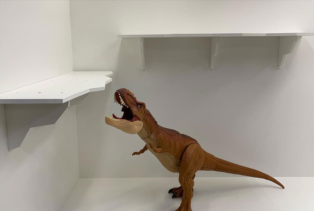 Cliff Hanger | Reptile Enclosure Climbing Shelf