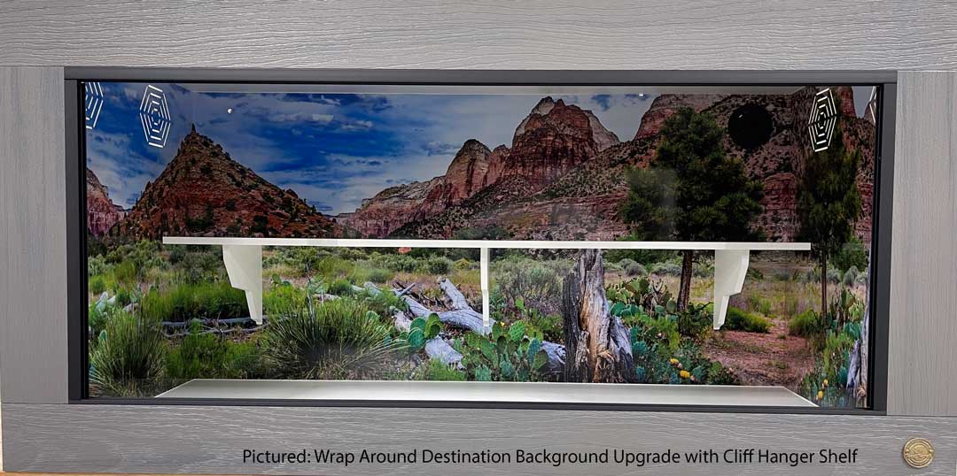 4x2x2 Reptile Enclosure featuring Utah Destinations Cage Background  and Cliff Hanger Climbing Shelf