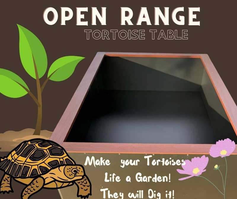 Tortoise Table-Open Range-Featuring Mahogany Frame