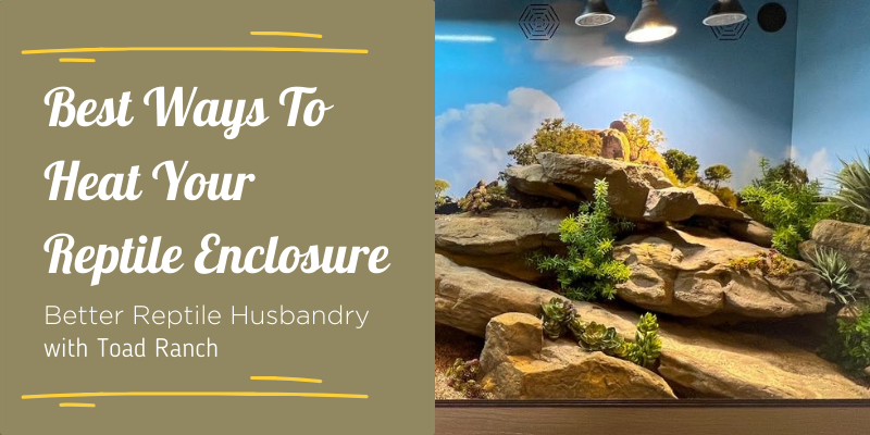 Best Ways to Heat Your Reptile Enclosure
