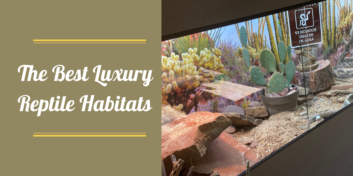View of Toad Ranch: The Best Luxury Reptile Habitats
