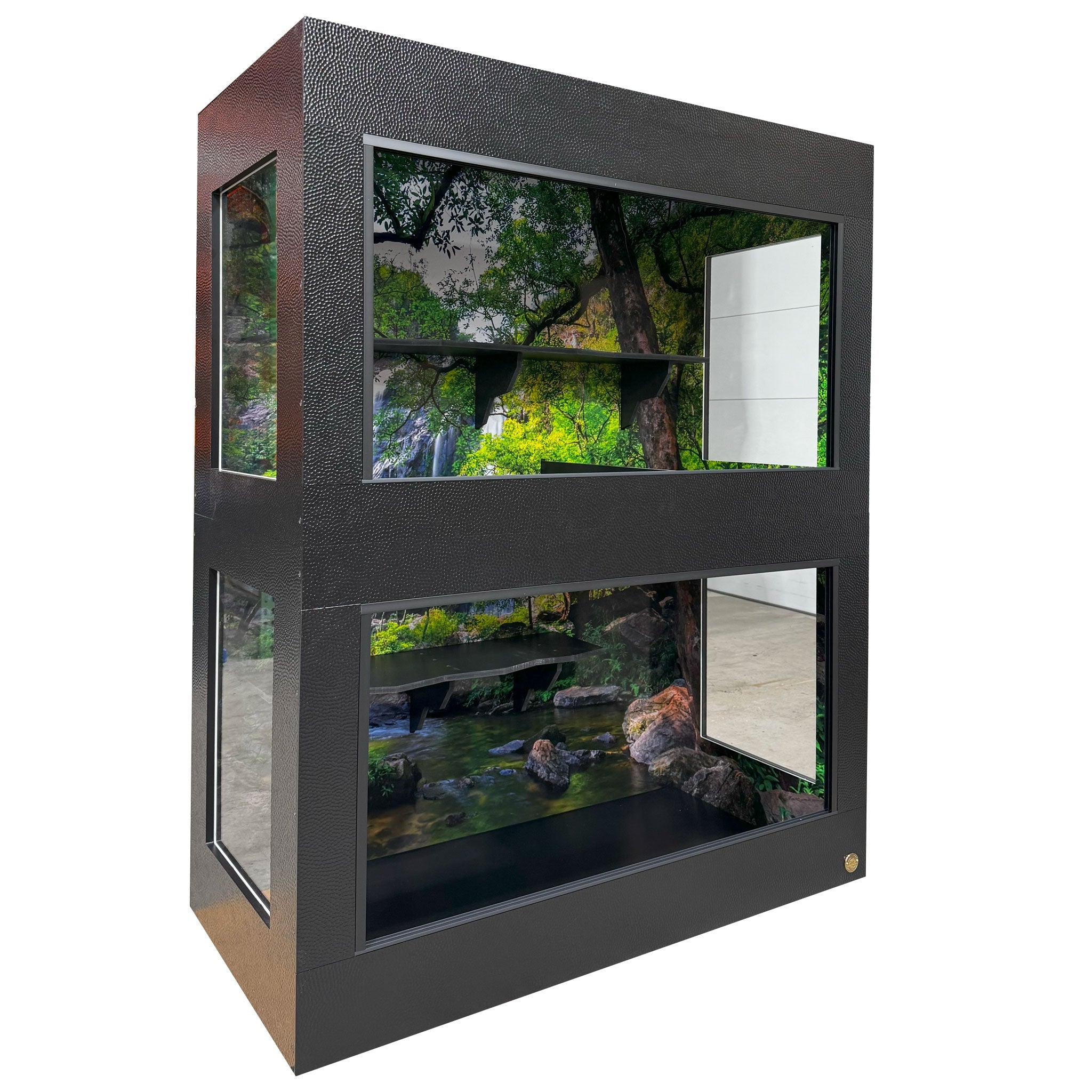10+ Foot Reptile Enclosure – Toad Ranch