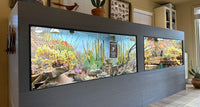 12'x2.5'x4' gray woodgrain PVC reptile enclosure with HDPE front frames and sliding glass, two sections, set up with a desert scene and Destinations background.