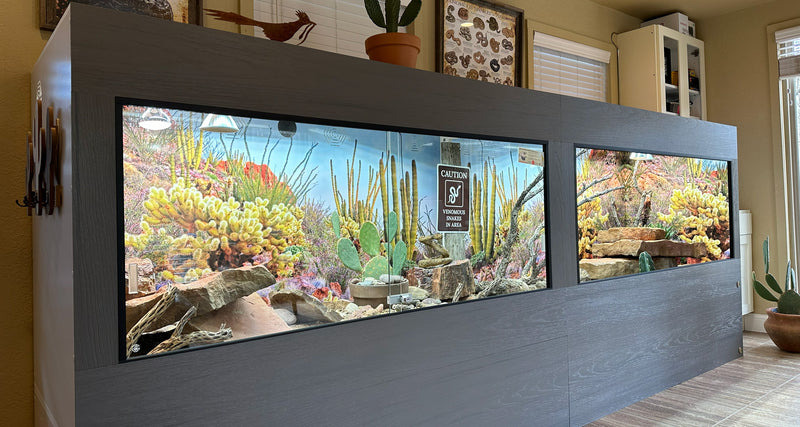 12'x2.5'x4' gray woodgrain PVC reptile enclosure with HDPE front frames and sliding glass, two sections, set up with a desert scene and Destinations background.