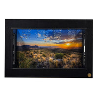 3x2x2' reptile enclosure featuring Texas Destination Background