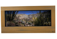 California-Anza Borrego Ocotillo | Reptile Enclosure Backgrounds