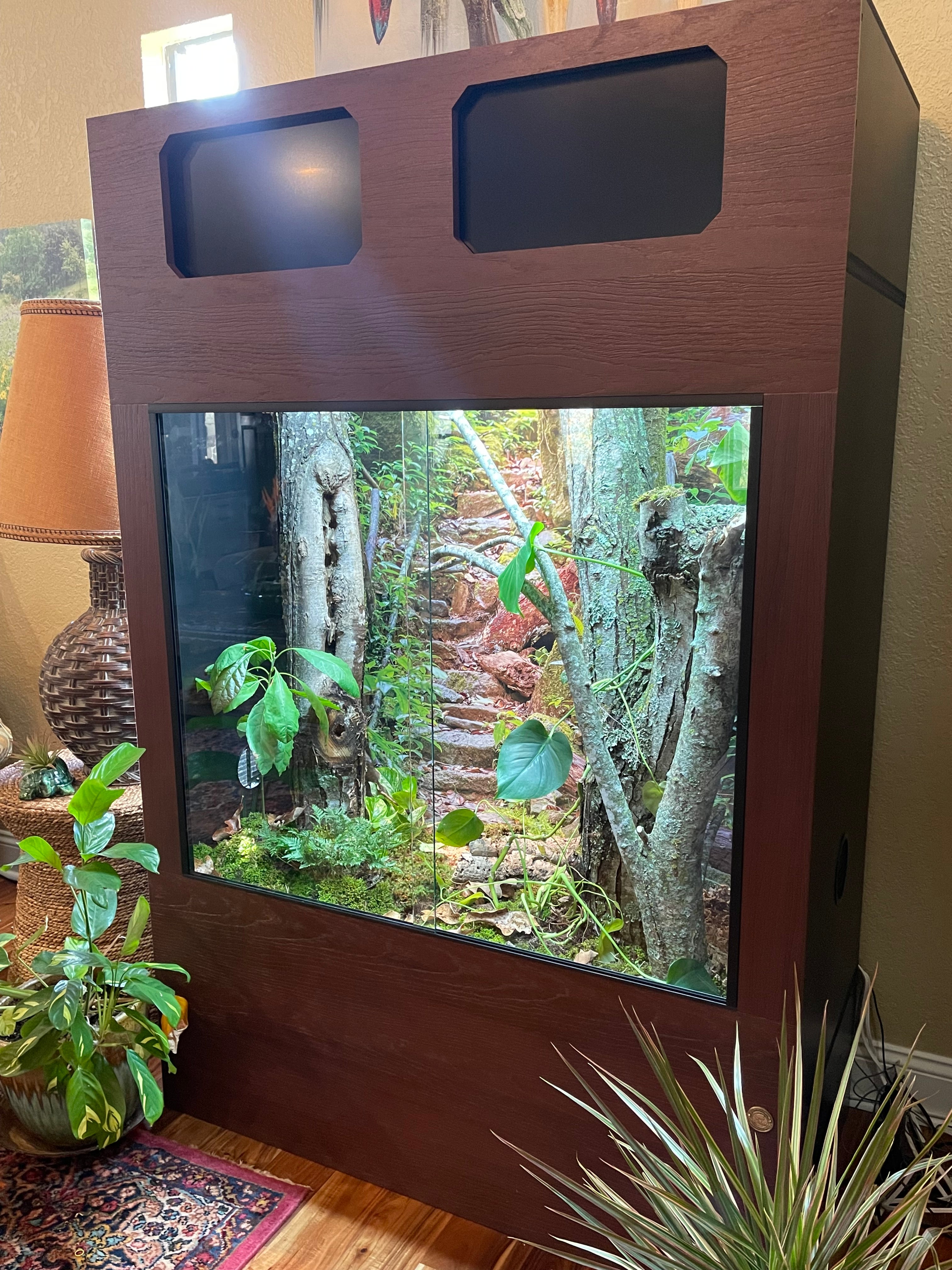 Custom built shop bearded dragon enclosures