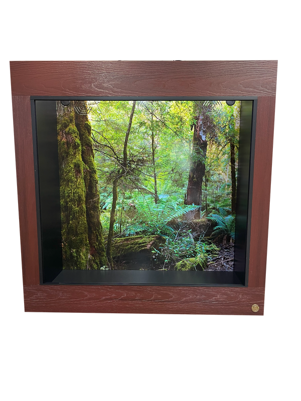 4x2x4 Arboreal Reptile Enclosure Featuring Mahogany Front Frame in black PVC and Destinations background Australia Temperate Rainforest