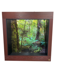 4x2x4 Arboreal Reptile Enclosure Featuring Mahogany Front Frame in black PVC and Destinations background Australia Temperate Rainforest