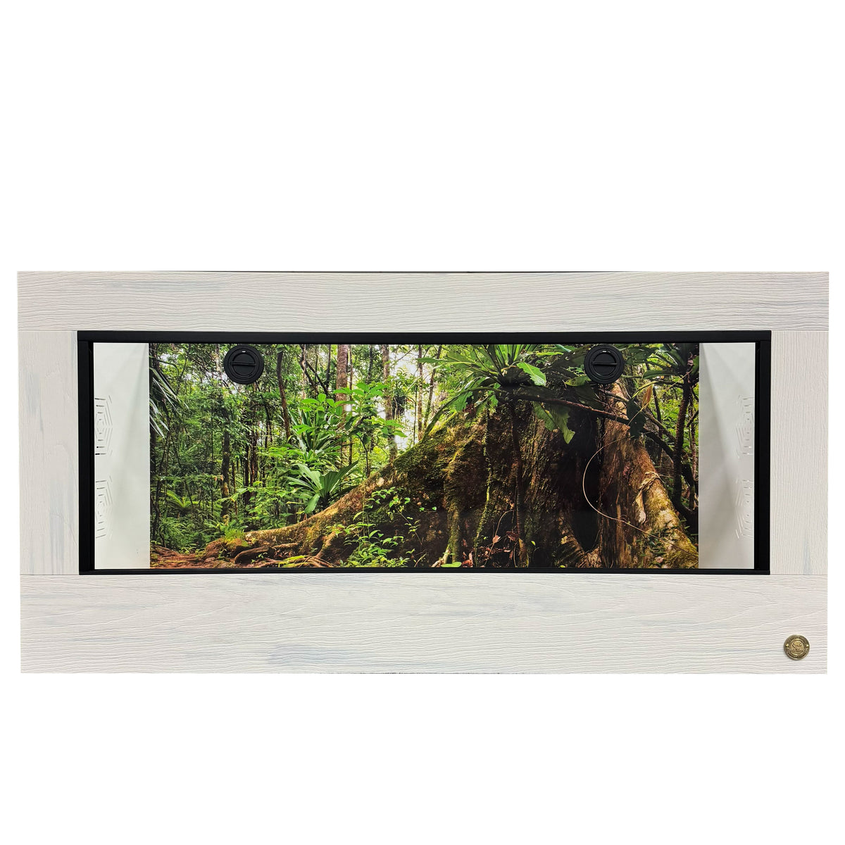 4x2x2 reptile enclosure featured in whitewash front frame.