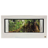 4x2x2 reptile enclosure featured in whitewash front frame.