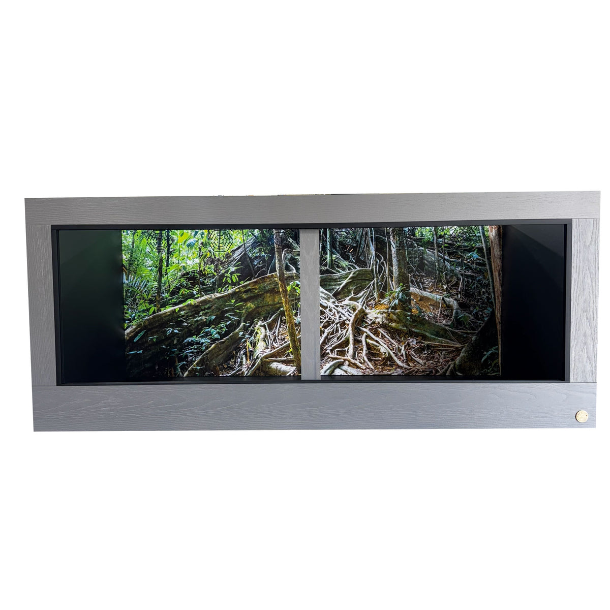 Thailand Destination Background cropped to fit 5x2x2 reptile enclosure.