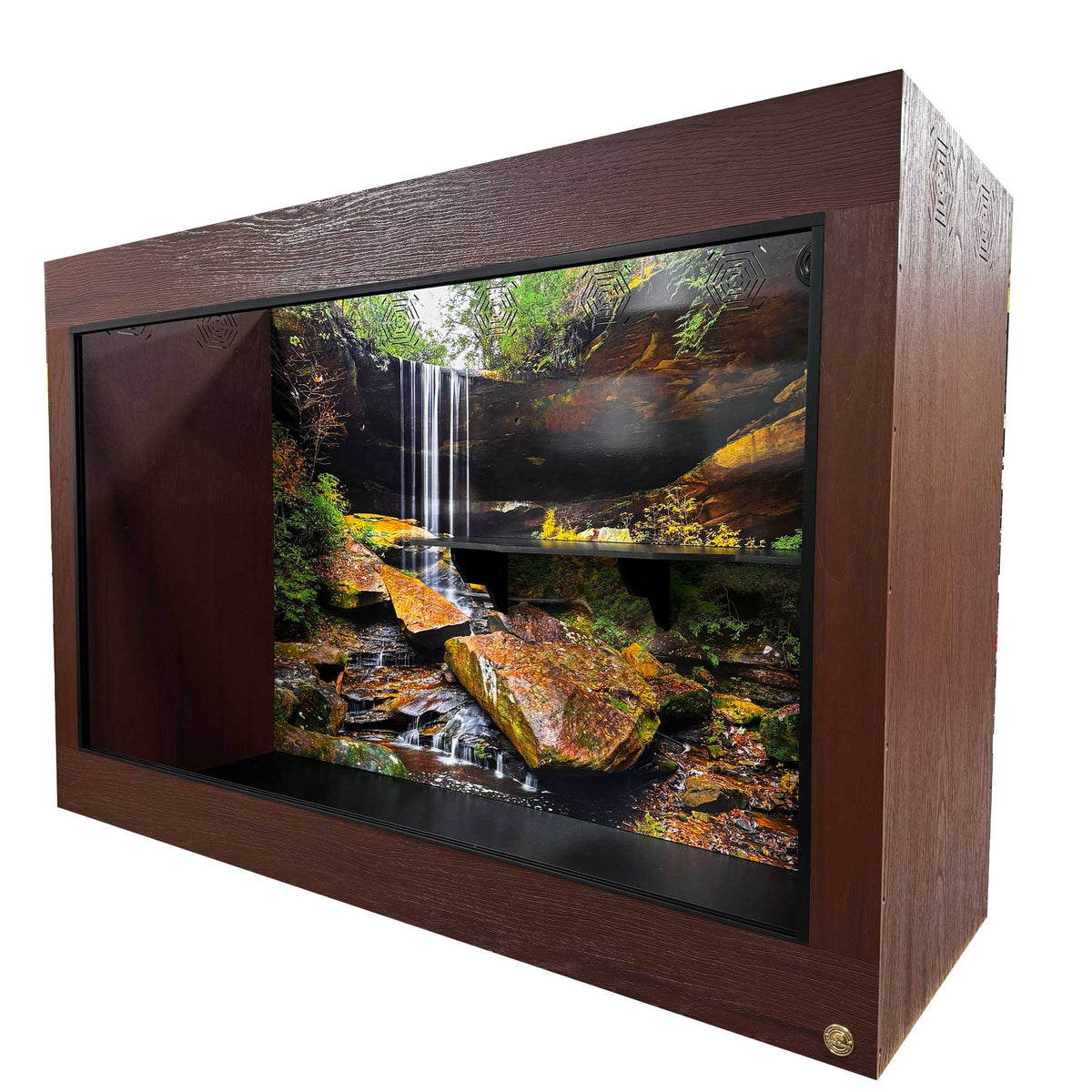 6'x2'x4' Reptile Enclosure & Matching Cabinet Stand | Ready to Ship