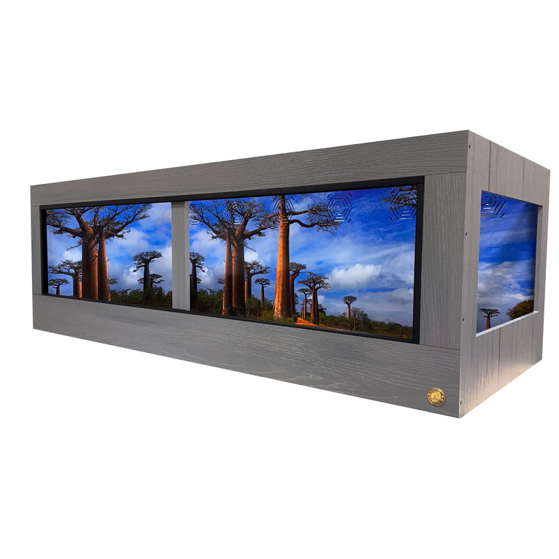 6x2.5x2'  HDPE-reptile enclosure. Featuring Baobab Tree Destination Background.  