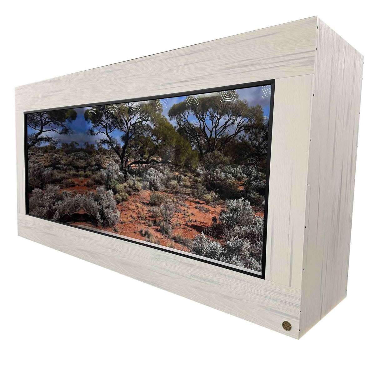 8x2x4' Toad Ranch Reptile Enclosure featured with signature design Destinations  Backgrounds- Central Australia.
