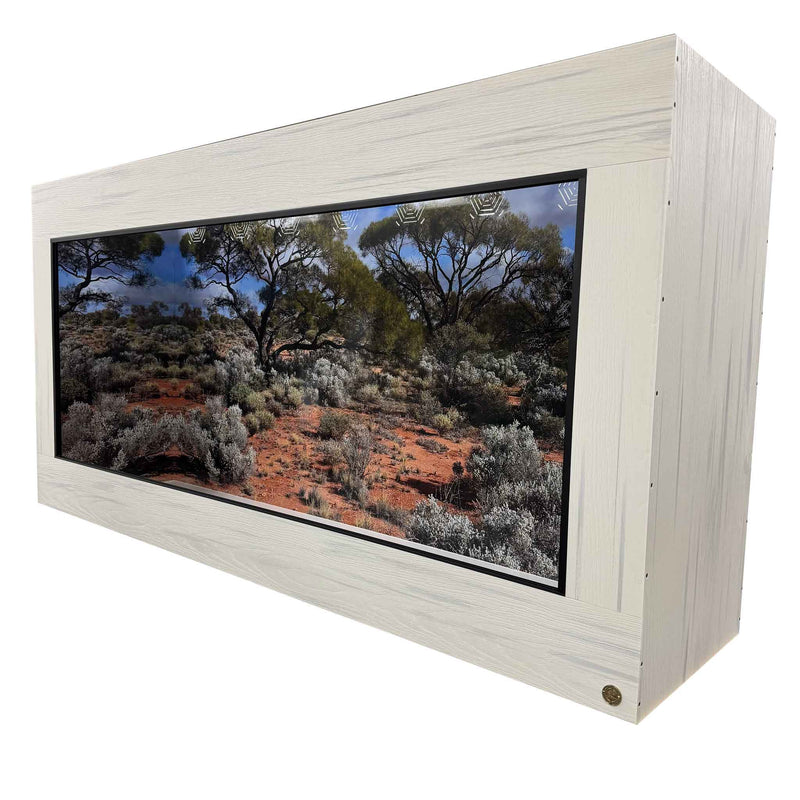 8x2x4' Toad Ranch Reptile Enclosure featured with signature design Destinations  Backgrounds- Central Australia.