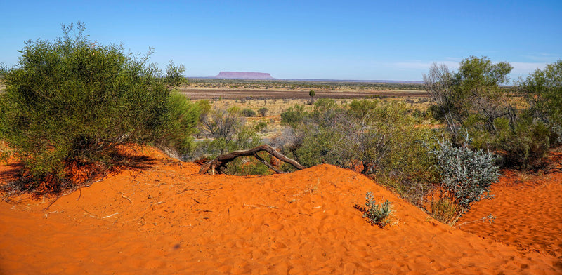 Australian Red Sands Reptile Enclosure Background. 