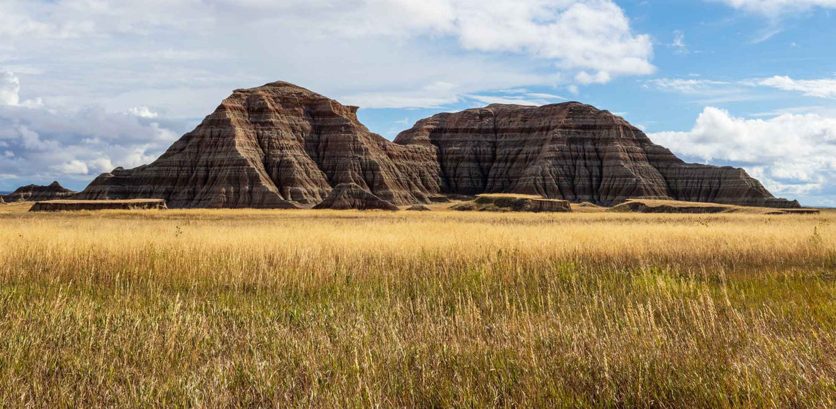Badlands NP-South Dakota TR389| National Parks Edition-Reptile Enclosure Backgrounds