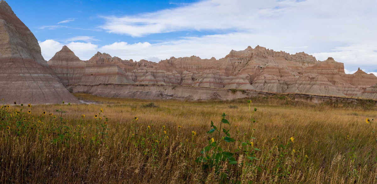 Badlands NP-South Dakota TR407| National Parks Edition-Reptile Enclosure Backgrounds