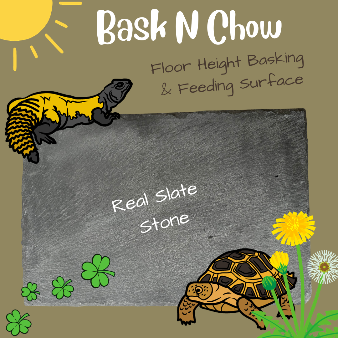 Bask-N-Chow | Reptile Basking Stone - Feeding Platform ( Set of 2)