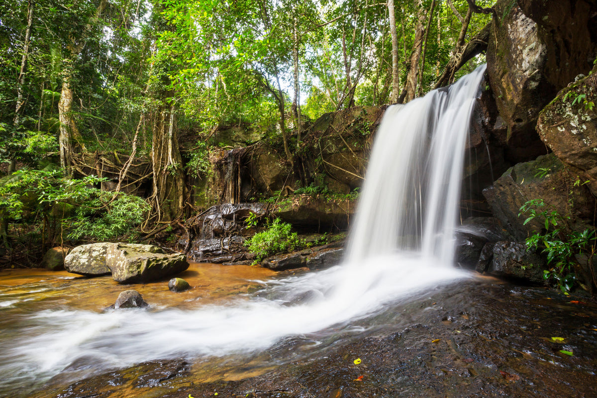 Cambodia- Waterfall | Reptile Enclosure Backgrounds