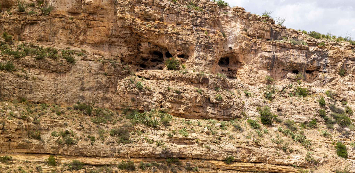 Carlsbad Caverns NP- New Mexico TR763 | National Parks Edition-Reptile Enclosure Backgrounds