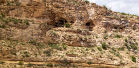Carlsbad Caverns NP- New Mexico TR763 | National Parks Edition-Reptile Enclosure Backgrounds