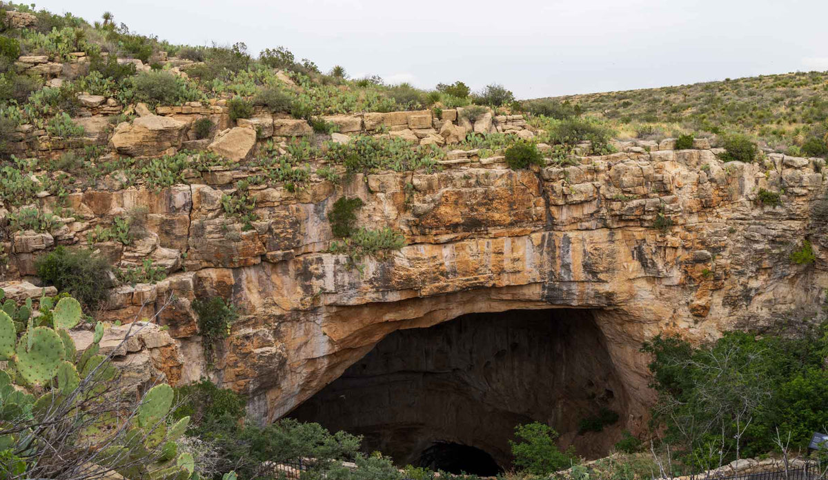 Carlsbad Caverns NP- New Mexico TR758 | National Parks Edition-Reptile Enclosure Backgrounds