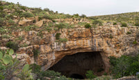 Carlsbad Caverns NP- New Mexico TR758 | National Parks Edition-Reptile Enclosure Backgrounds