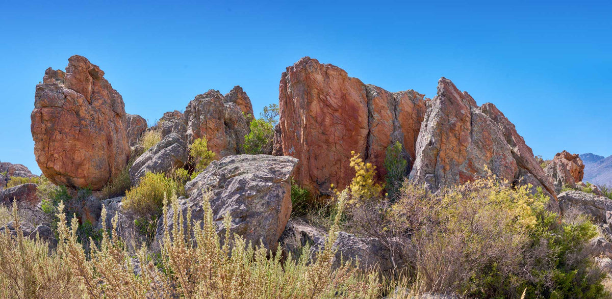 Africa- Cederberg | Reptile Enclosure Backgrounds