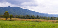 GSM NP Cades Cove- Tennessee TR435   | National Parks Edition-Reptile Enclosure Backgrounds