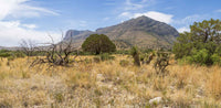 Guadalupe Mtns NP- Texas TR740 | National Parks Edition-Reptile Enclosure Backgrounds