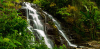 Reptile Enclosure background featuring lush vegetation & beautiful waterfall.