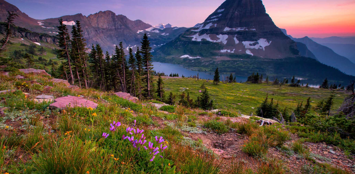 Montana-Glacier National Park | Reptile Enclosure Backgrounds