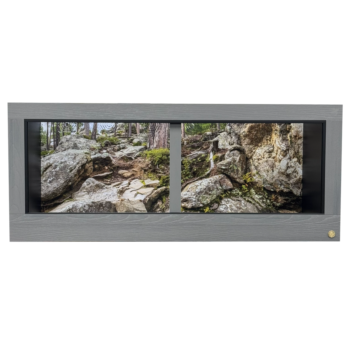 Mount Rushmore Destination background installed in a 72"x36"x30" reptile enclosure with Driftwood HDPE front frame