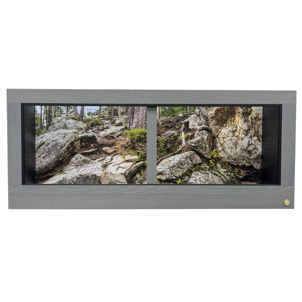 Mount Rushmore Destination background installed in a 72"x36"x30" reptile enclosure with Driftwood HDPE front frame