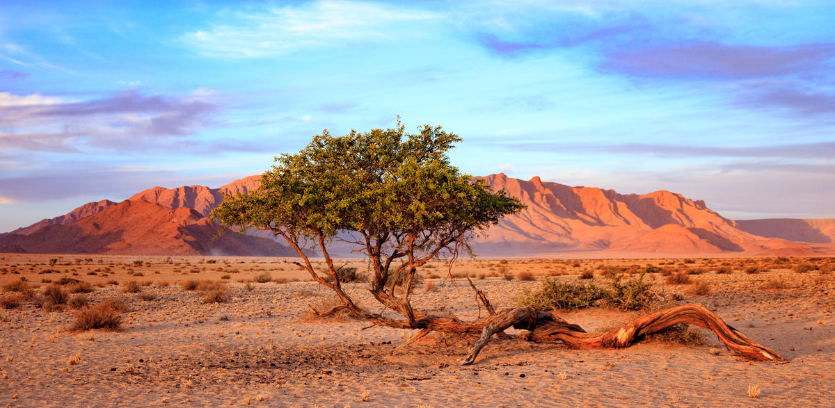 Africa- Namibia Sunset | Reptile Enclosure Backgrounds