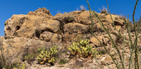 Big Bend- NP- Texas #115 | National Parks Edition Reptile Enclosure Backgrounds