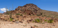 Big Bend NP- Texas TR118 | National Parks Edition- Reptile Enclosure Backgrounds