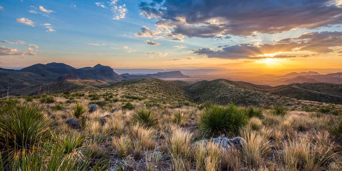 Texas- Big Bend | Reptile Enclosure Background